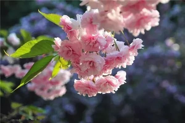 这吃货最爱的皇冠级港城，不仅美色倾城，更有万人蓝海沙滩在等你！