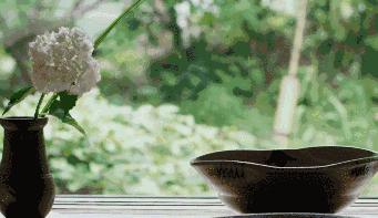 十元店就能买到的日用品，日本匠人却传承13代去做