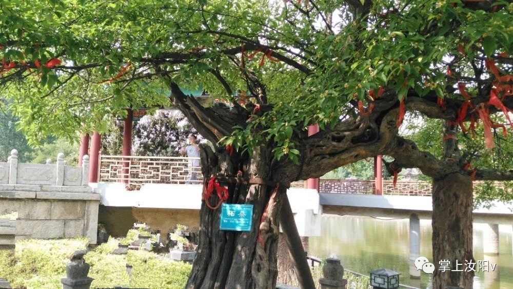 您好，我是汝阳，向全世界发出邀请……