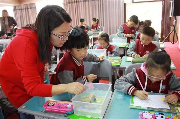 小学科学实验教学培训,小学科学暑期培训