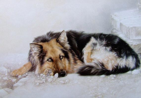 属狗人2022年运程运势老黄历,生肖属狗之人2016年运势