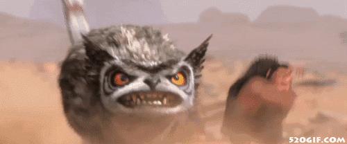 男人进化的最佳时间,男性和女性谁进化得完美