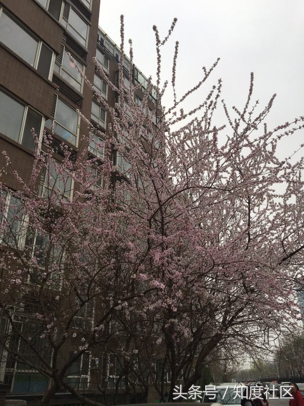 春天小孩爱长痘是怎么回事,宝宝脸上长痘痘的原因和解决方法