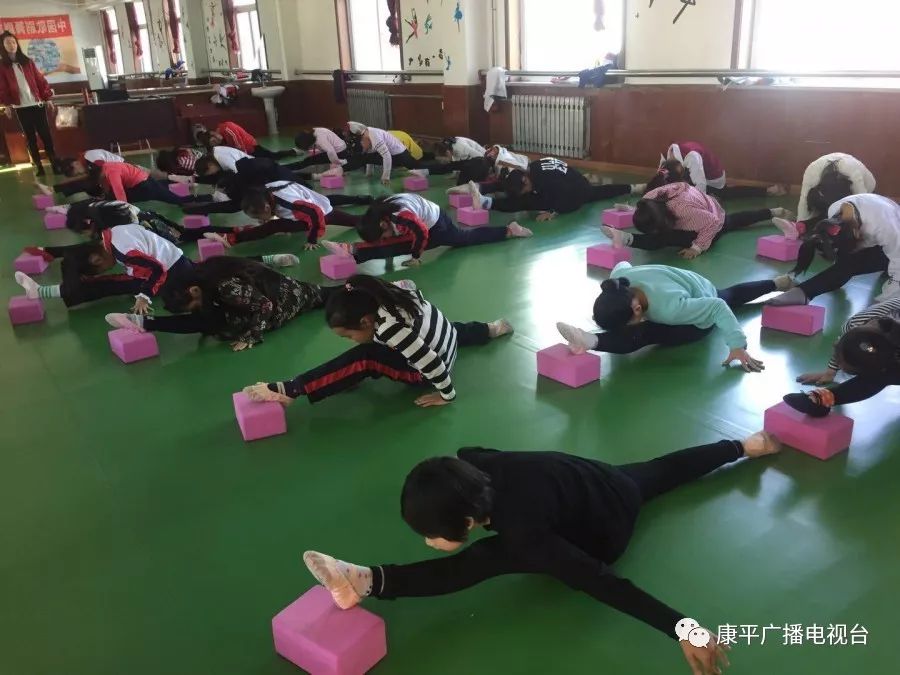 康平县的学校,康平县学校