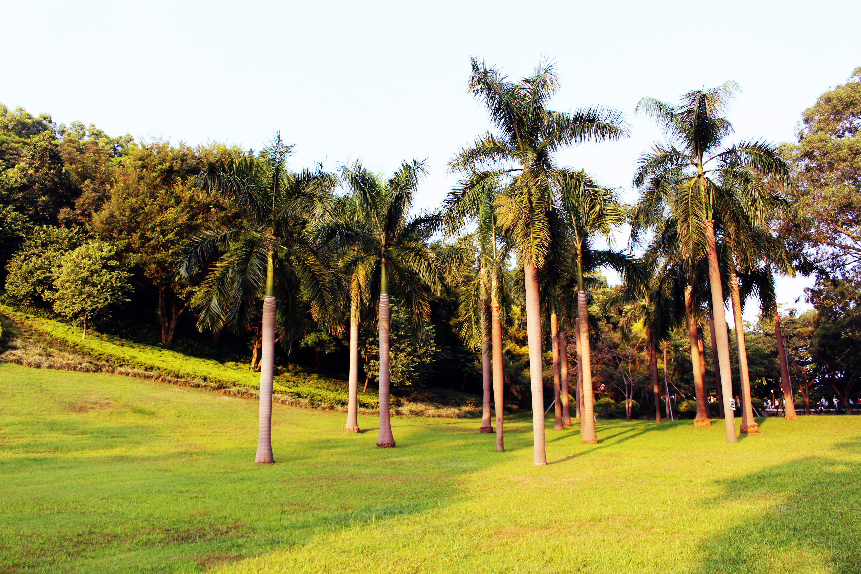 广州白云山百年的历史,广州白云山的名胜古迹