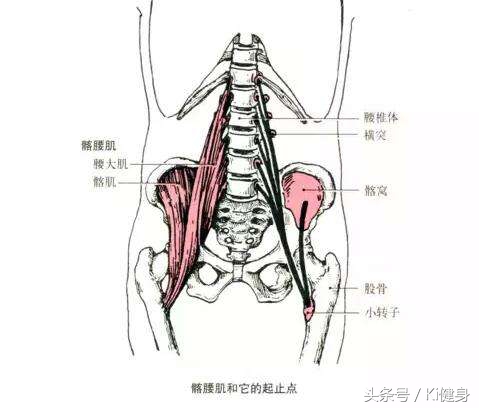 ki健身,kiki健身练腹