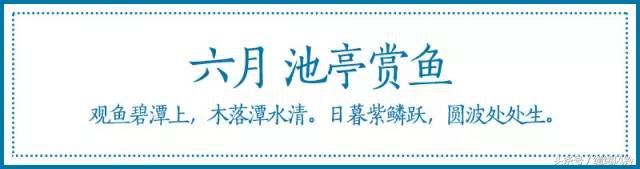 闺房静思悟人生,闺房四首是什么
