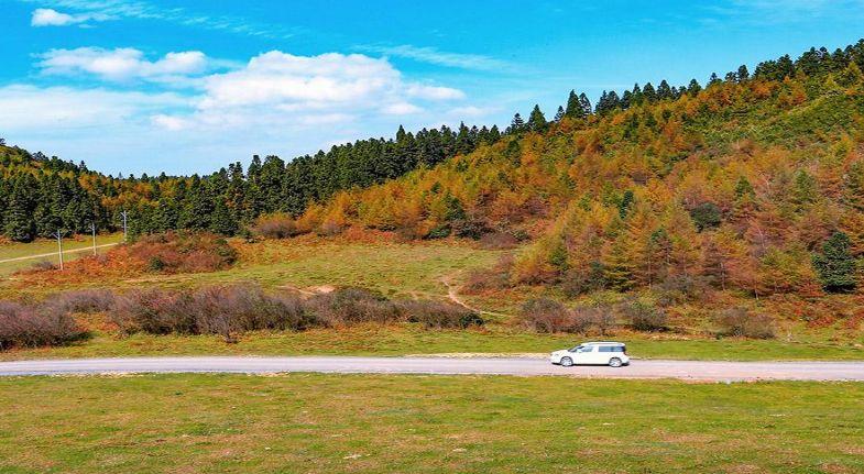 贵州目前最适合做的生意,贵州最好做的生意