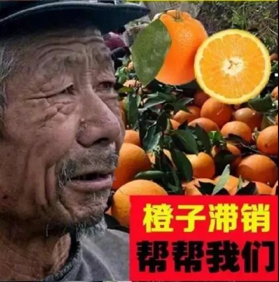 绘画中的一切都是假的,创意绘画是不是骗人的