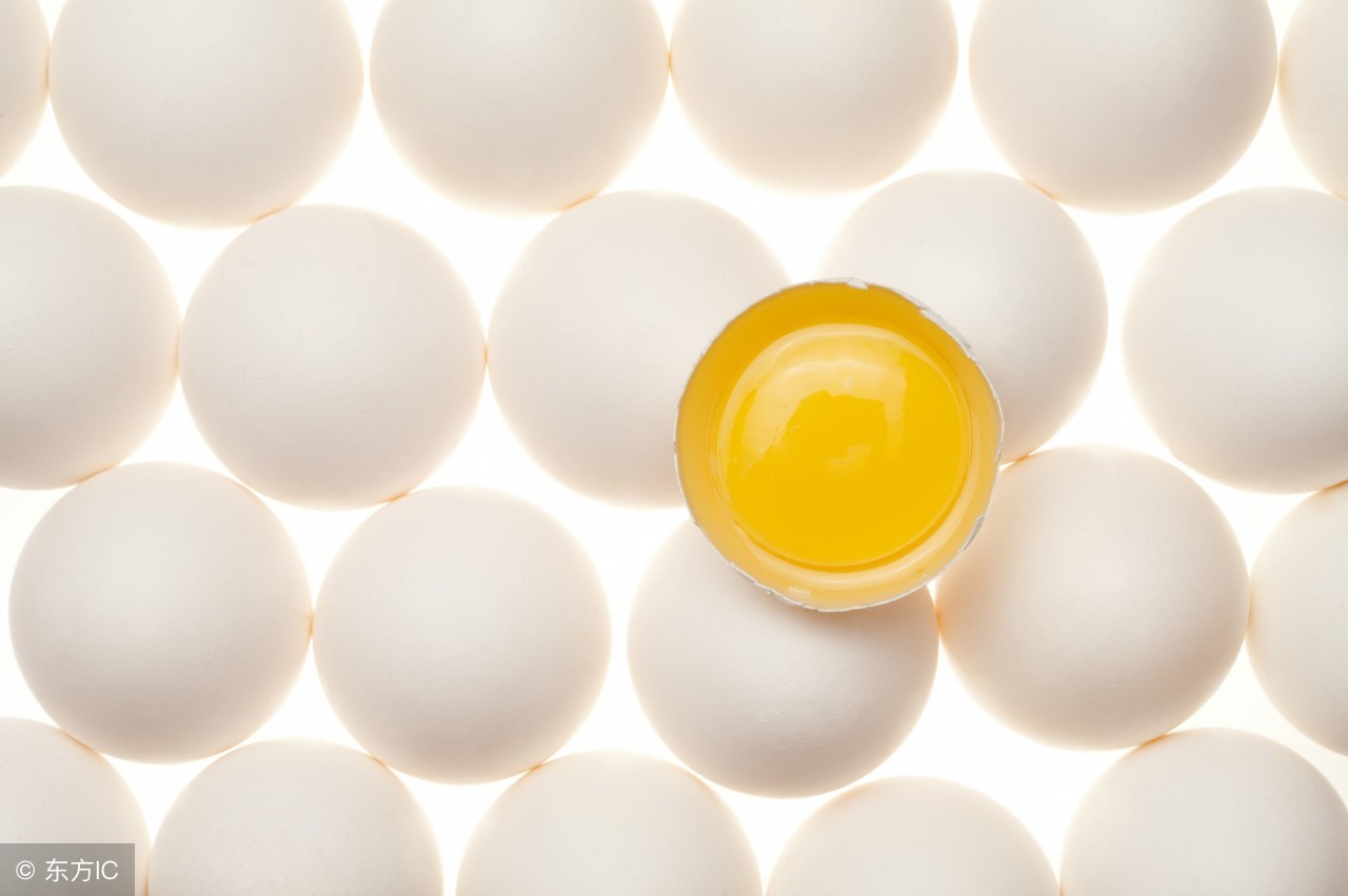 冷水江蛋鸡饲料添加剂哪家好,石首蛋鸡饲料添加剂生产厂家