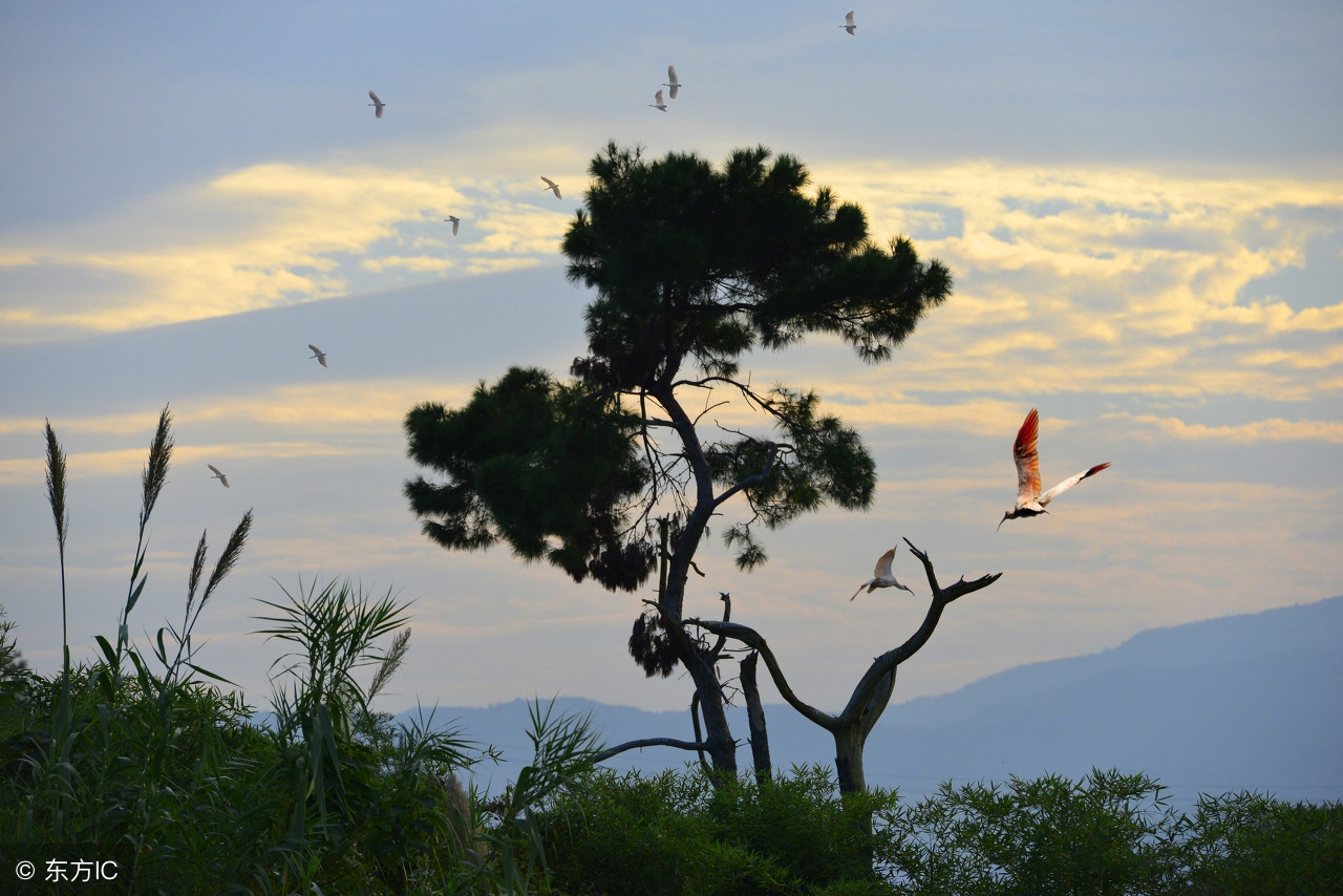 慢性前列腺炎中医挂什么科,慢性前列腺炎的中医治疗
