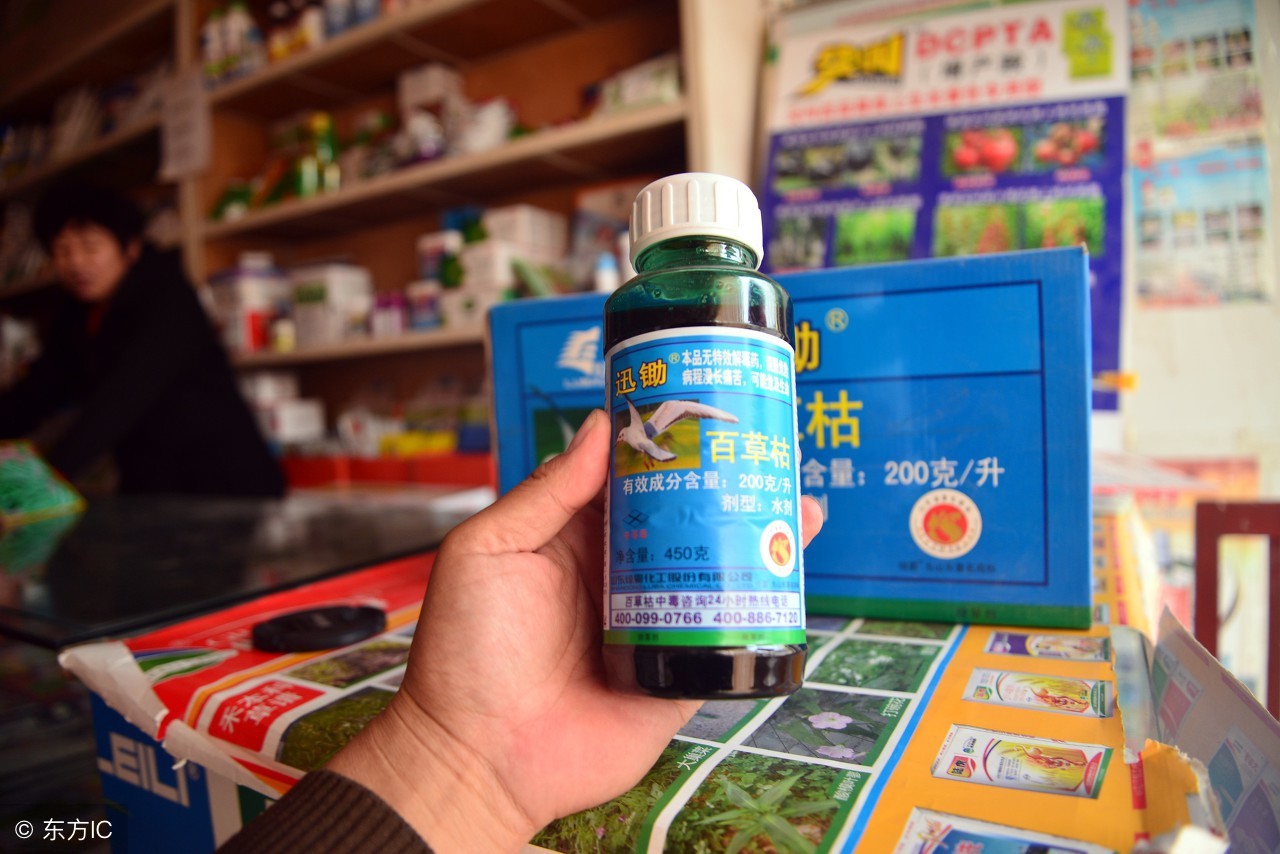 14岁男孩口渴误喝百草枯后续,男孩误喝百草枯毒素已清除