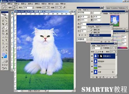 抠图抠不干净ps用哪个工具,ps抠图和ai抠图区别