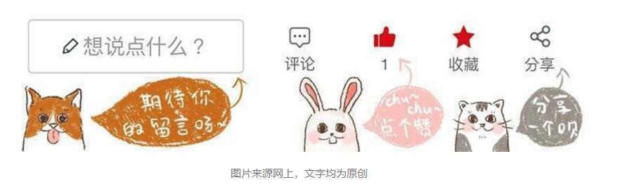 泰迪生完孩子情况,泰迪妈妈生崽