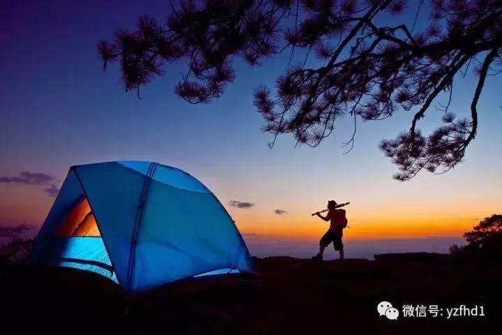 扬州中国风湿地公园,六月的扬州湿地公园