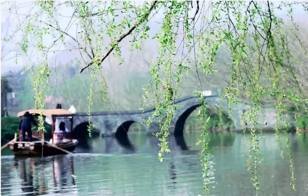 扬州中国风湿地公园,六月的扬州湿地公园