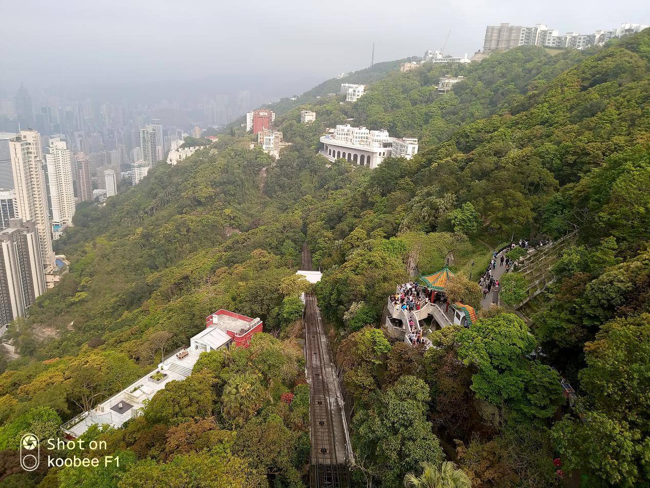 閰锋瘮koobeef1,閰锋瘮koobeef1鍚冮浮