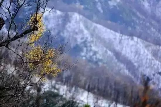 西安清明自驾,西安清明自驾免费景点