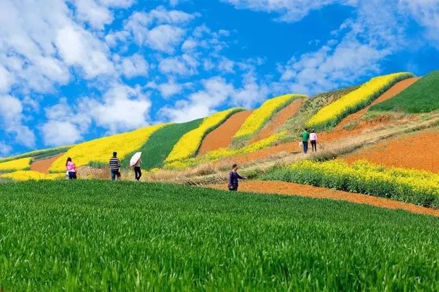 西安清明自驾,西安清明自驾免费景点