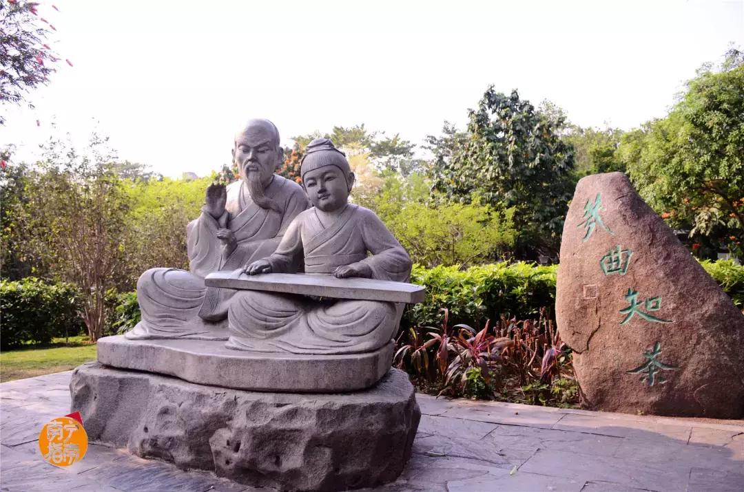 金花茶公园在什么地方,金花茶公园最新消息