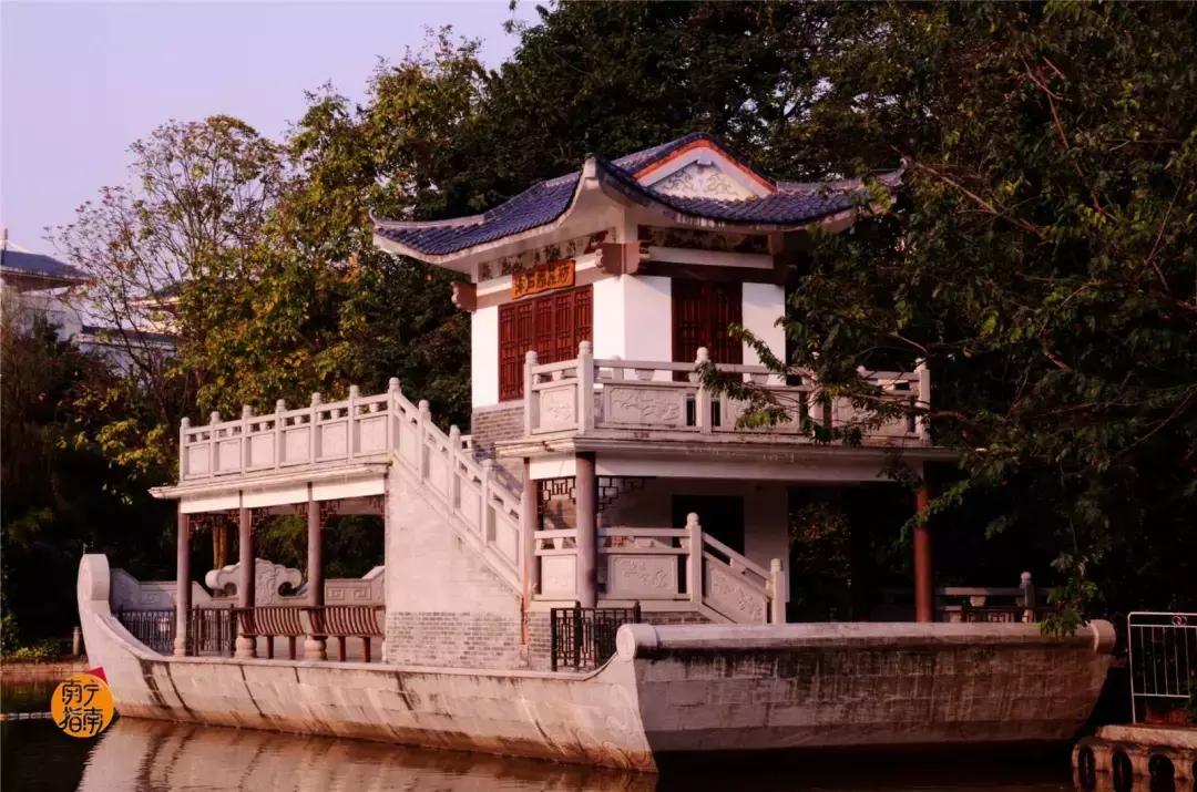 金花茶公园景点,走进金花茶公园