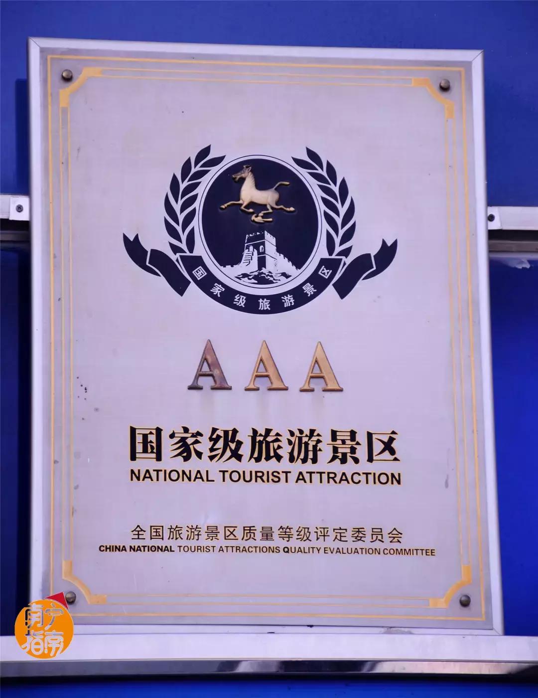 金花茶公园景点,走进金花茶公园