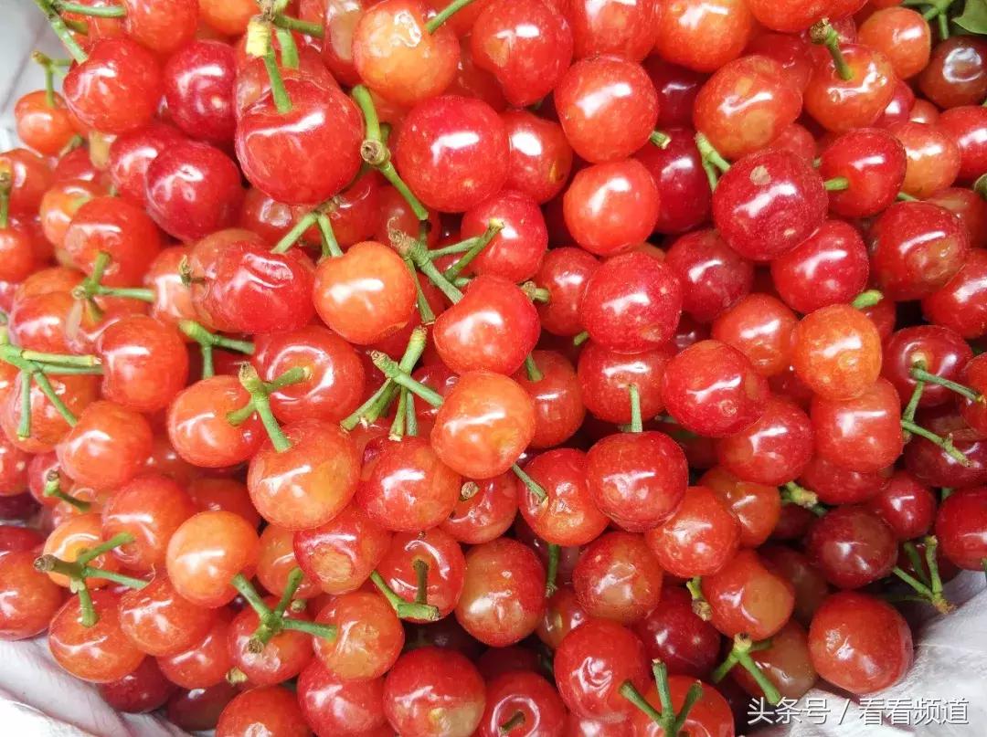 贵阳街头樱桃悄然上市,贵阳樱桃排名前十名