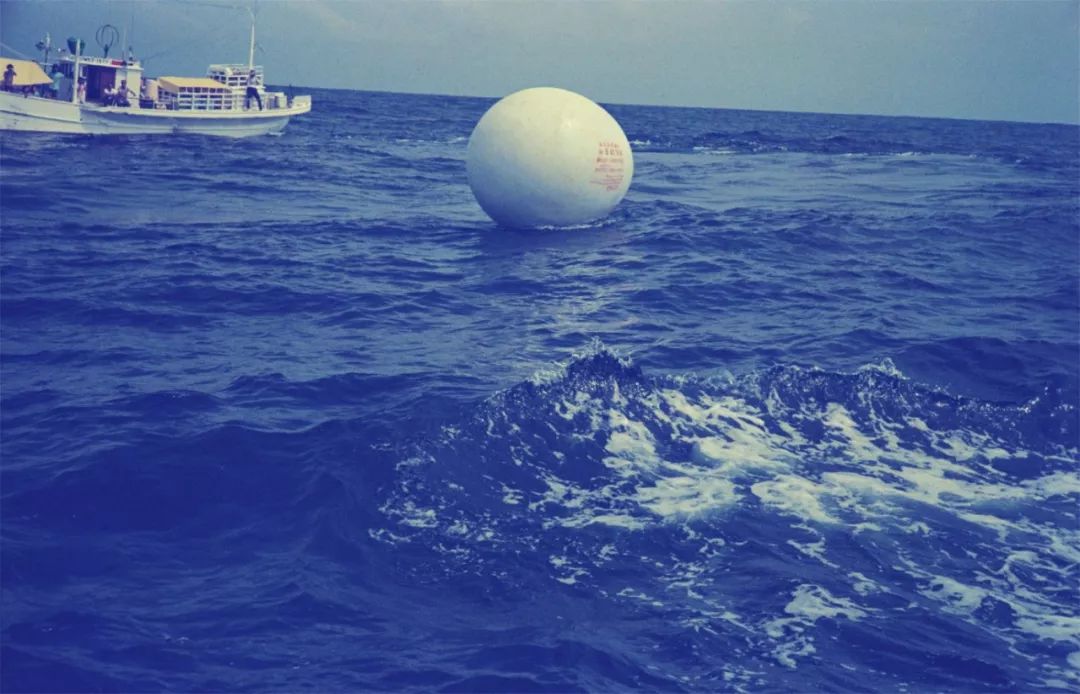 名侦探柯南灌篮高手,名侦探柯南重制版柯南