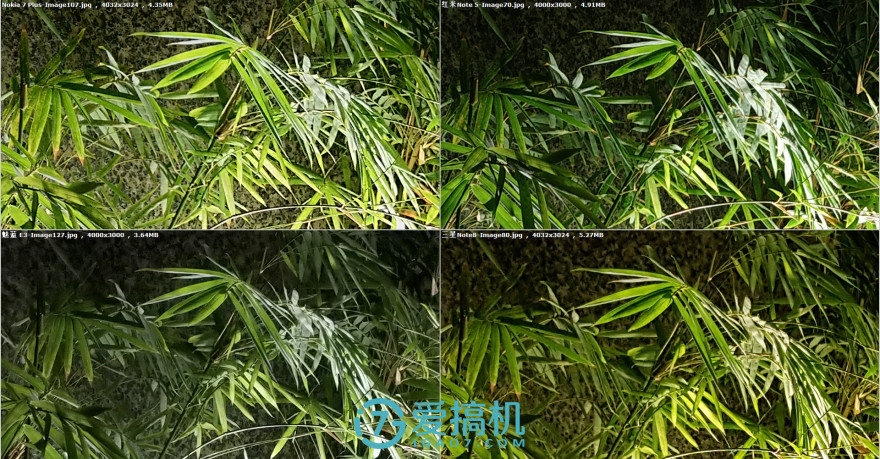 卓尔不群3种效果,卓尔不群三色对比