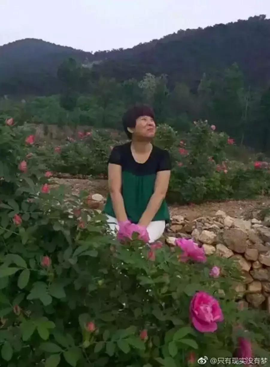 看完我妈拍的春游照片,我跟我爸都哭了……