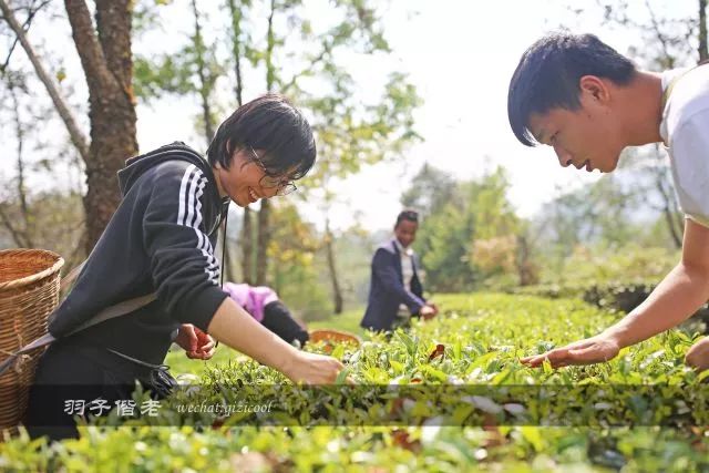 云南沧源靠近哪个国家,云南沧源最好玩的地方