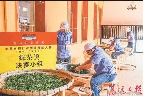 英德红茶重出国门踏上“一带一路”！农旅结合茶园变旅游景点！