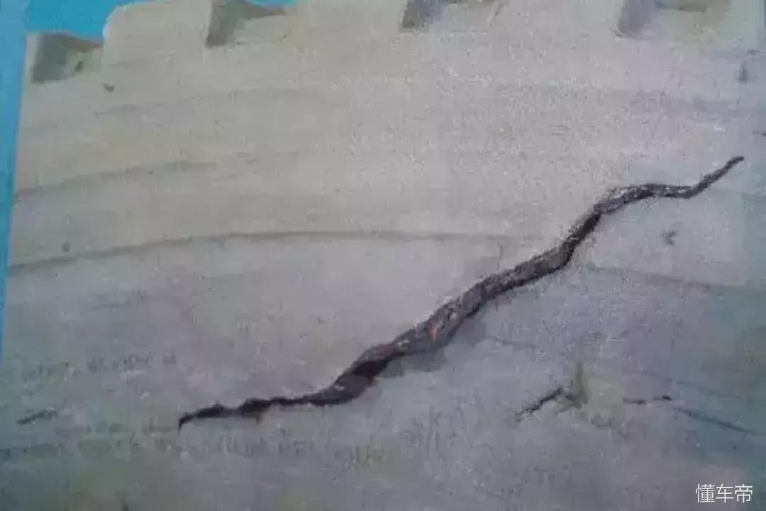 卡车轮胎断丝鼓包原因,卡车轮胎损坏原因图解