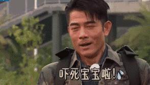 董璇高云翔陈思诚,陈思诚董璇