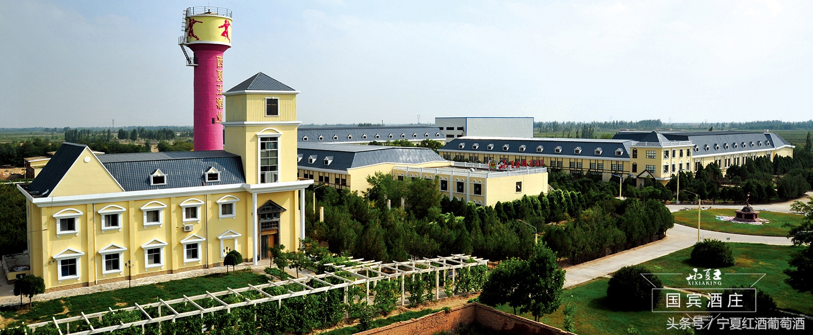 宁夏贺兰山东麓西夏王,宁夏农垦贺兰山种业有限公司