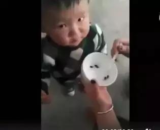 喂孩子吃活蝌蚪有哪些好处,喂孩子吃下活蝌蚪