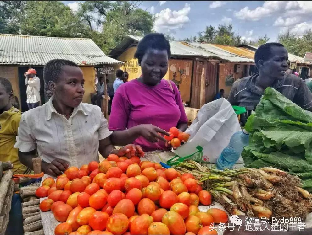 中国股市跌美国股市为什么不跌,为什么中国股市跌西方股市涨