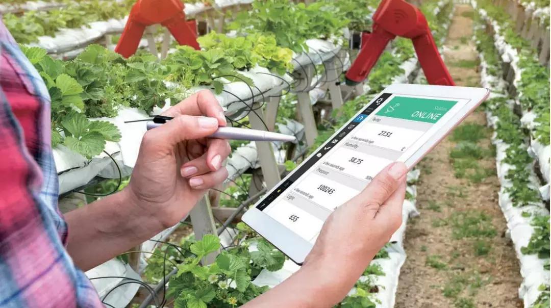 农业物联网技术存在的问题,农业物联网是什么