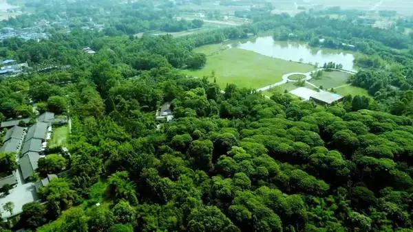 三亚房车租赁游,三亚租赁房车自驾