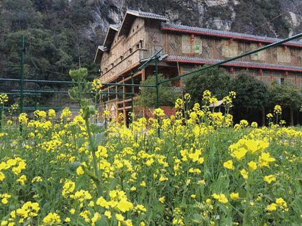清明踏春一日游必去景点,踏春赏花景点最美推荐