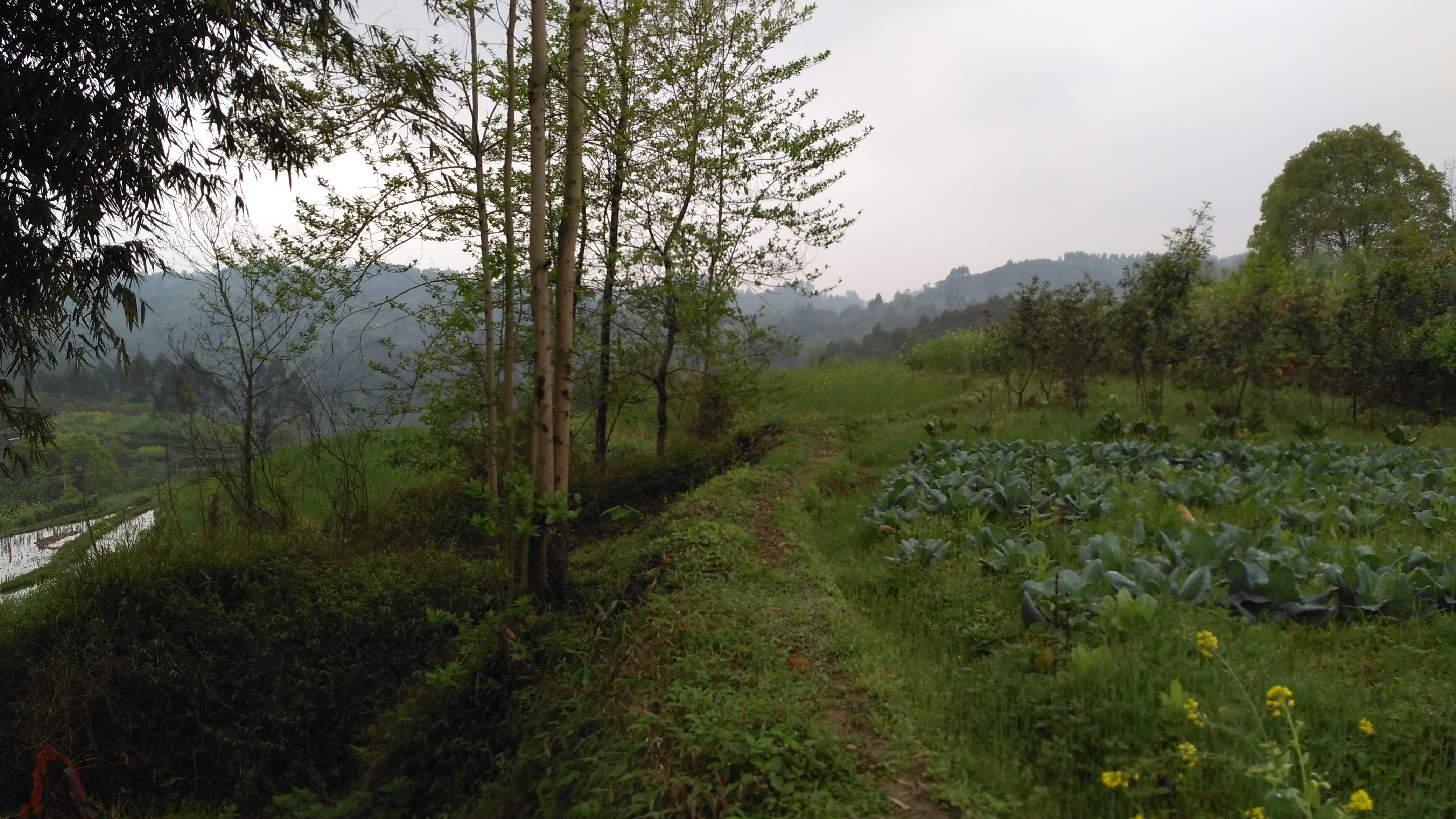 我的田园情结,温暖的田园情结