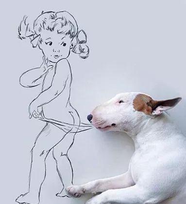 家里墙面难看咋弄,洗手间墙面难看怎么办