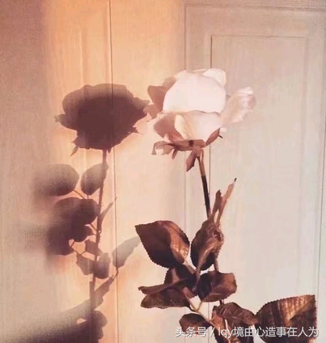 那些被富养的女孩后来都怎样了,那些被富养的女孩后来都怎么样了