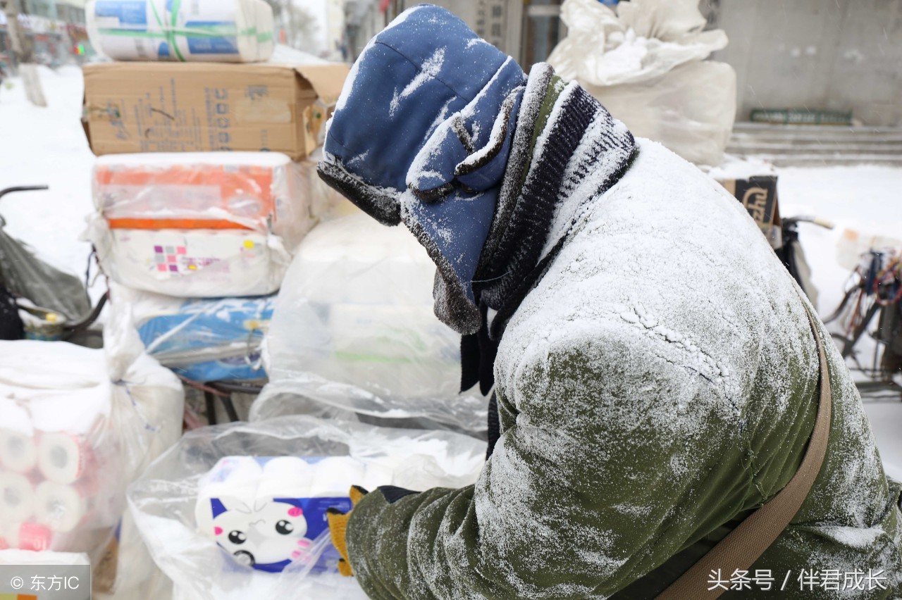 卖炭翁苏轼10首经典诗词,卖炭翁最经典的诗句