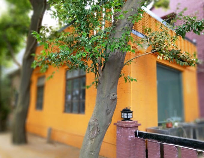 深圳东莞旅游景点推荐,东莞免费景点排名大全集