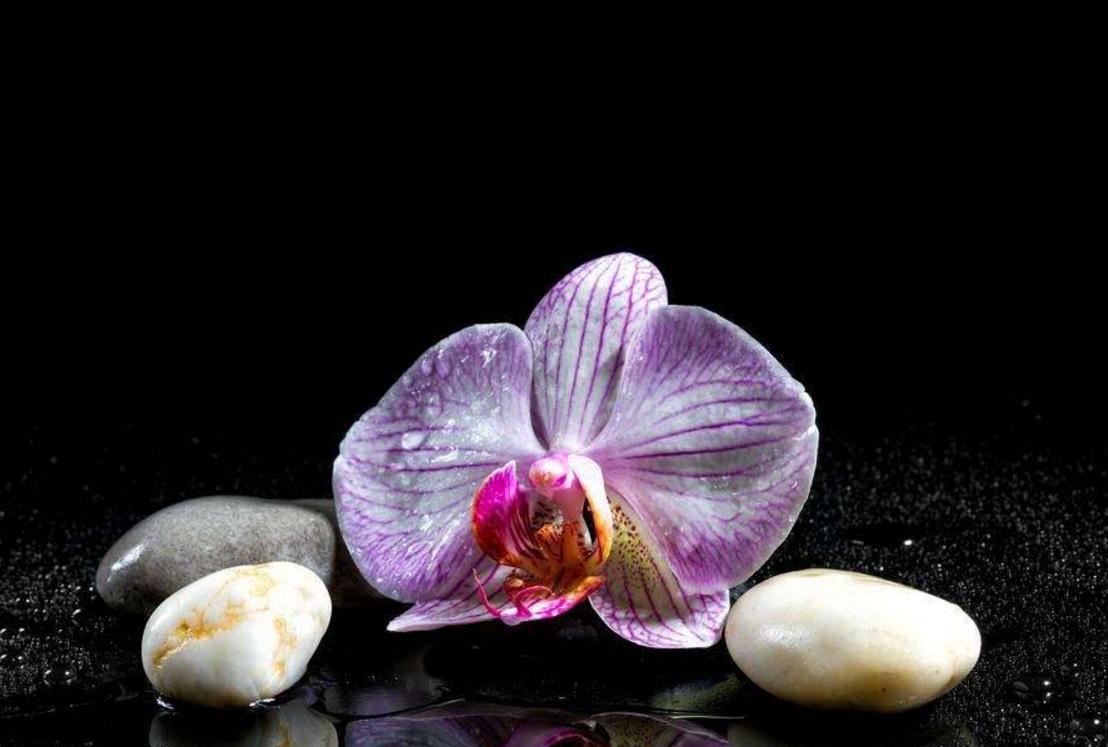 人到落魄时应该怎么做,落魄后如何醒悟自救