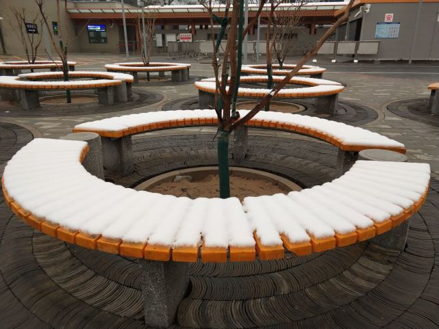 治脚气，先要肠胃调理顺，四月常吃这种能量菜，食补效果立竿见影