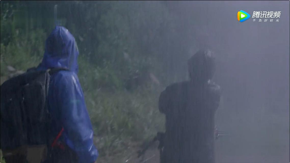 南方有乔木南乔的秘密,南方有乔木南乔小说结局是什么