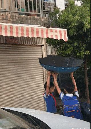 小奶猫被困了怎么办,小奶猫困地下怎么救上来