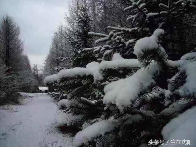 曾经的十大城市沈阳,沈阳是特大城市吗